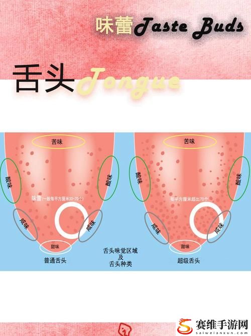 舌头进入小豆豆世界的味觉体验