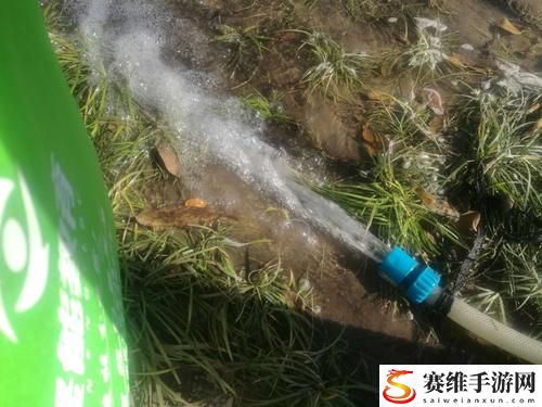  被系统浇灌的日常：在科技与生活交织下的沉思