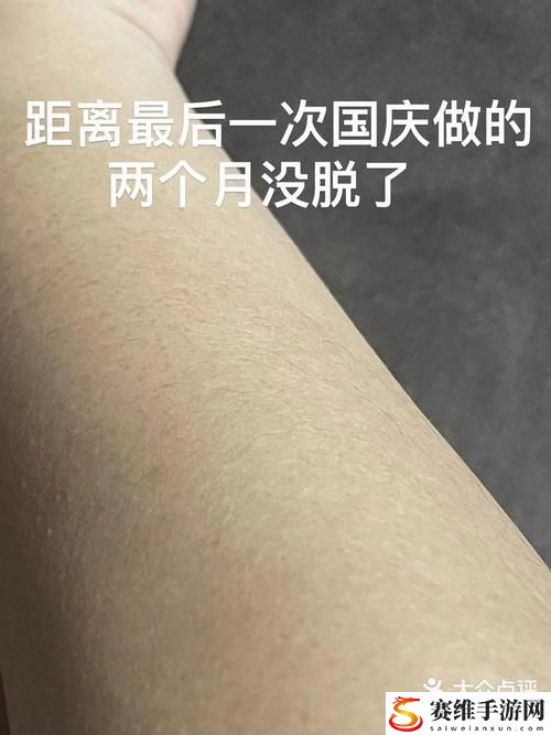  深入探讨：aaaa级毛和aaaa的区别