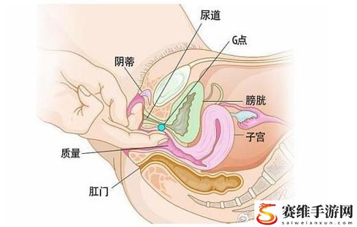  大荫蒂BBBBBB大荫蒂，观众：这不仅是表演，更是一种文化体验