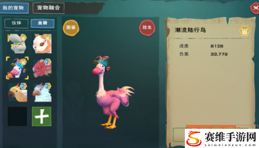 创造与魔法陆地鸟在哪？ 陆地鸟的位置信息