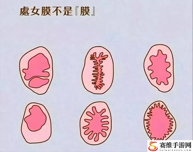  处破女处破全过第一次：情感与成长的探索