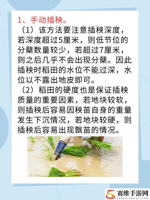 夫妻插秧38种方法图片大全，网友评价：生活中的合作与默契