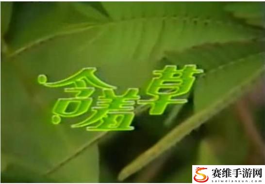 揭秘“含羞草免费观看电视剧的背景故事”的独特魅力