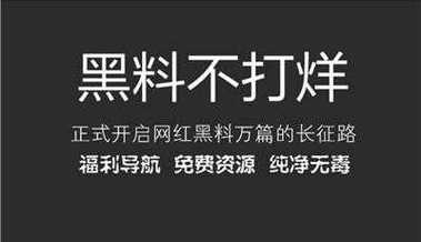  黑料不打烊tttzzz入口，网友直言：这次真是嗨翻了！