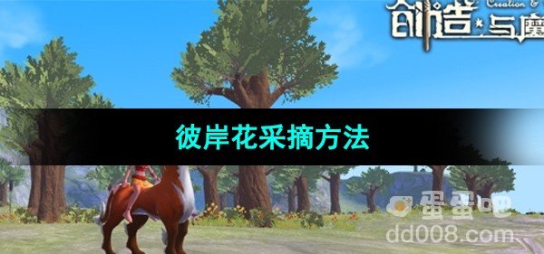 创造与魔法彼岸花采摘方法