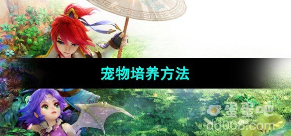 梦幻西游宠物培养方法