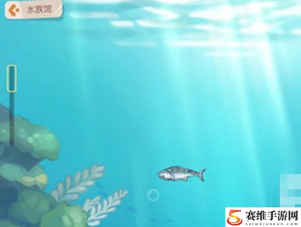 奥比岛手游水族馆在哪里?奥比岛手游水族馆怎么进去方法