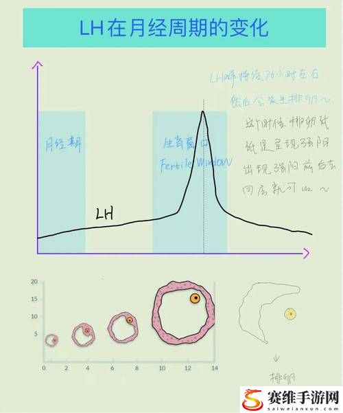 高能lH1对多稳居榜首，网友：“这简直是游戏中的一场革命！”