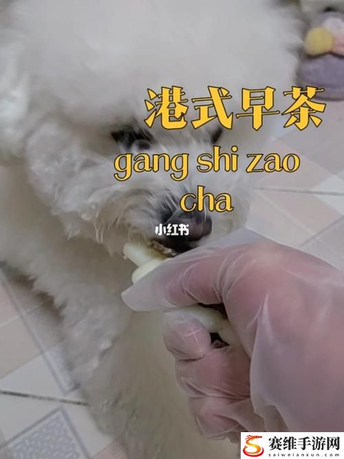  创新食谱揭秘：狗和人胶配方20分钟，宠物美食新体验