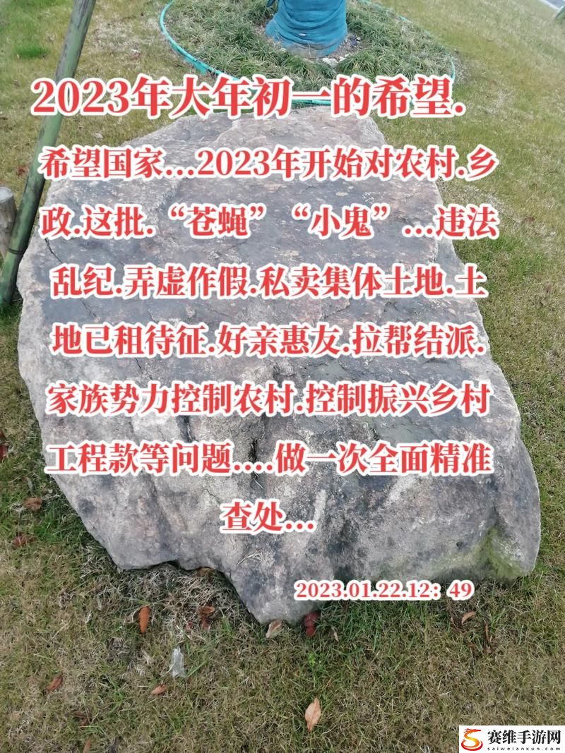 解读“农村人乱弄一区二区的处罚方式”及其对社区管理的影响