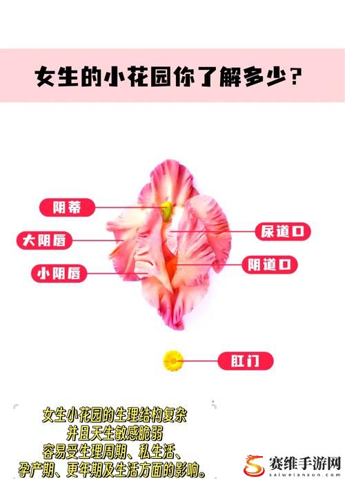  “老公吃小花园的方法”探秘：营养丰富的家庭种植技巧