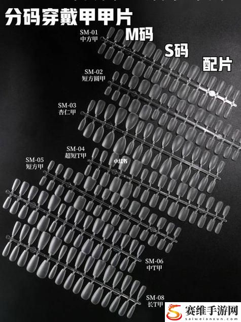 破解物流难题——深入解析欧亚专线欧洲S码WMY