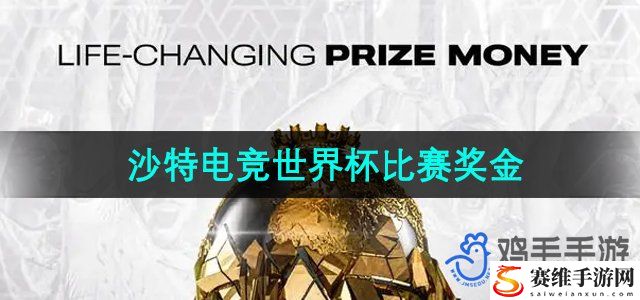 2024沙特电竞世界杯比赛总奖池奖金 家园建设与装饰指南，打造个性化游戏空间