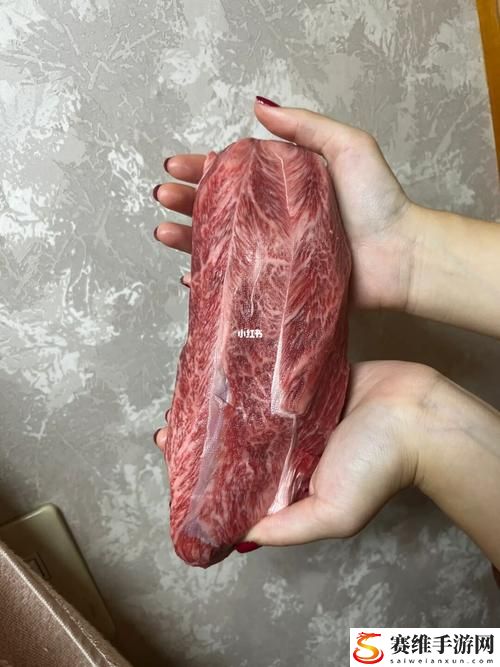 新探索“大肉大捧一进一出的视频”的背后趣事