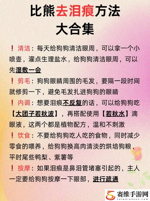 字母圈怎么给狗狗骂湿，用户热议：爱与责任的边界