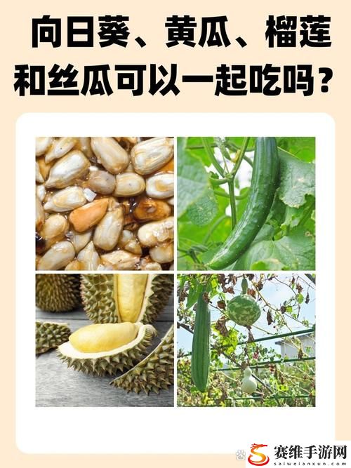  食材的完美搭配：榴莲秋葵向日葵茄子丝瓜大全