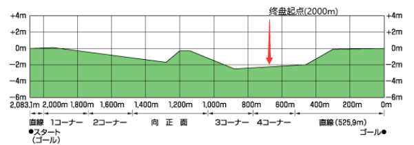 赛马娘中距离场地加速技能怎么用：提升角色实力