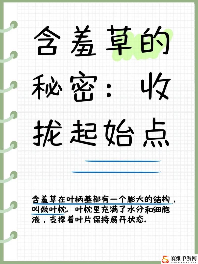 含羞草背后隐藏的秘密，网友直言：让我们一起探究这神奇植物的奥秘！