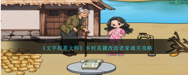 文字找茬大师乡村直播改造老家怎么过