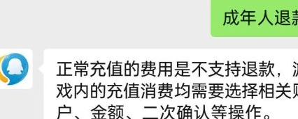 王者荣耀成年账号可以退款吗 王者荣耀退款规则