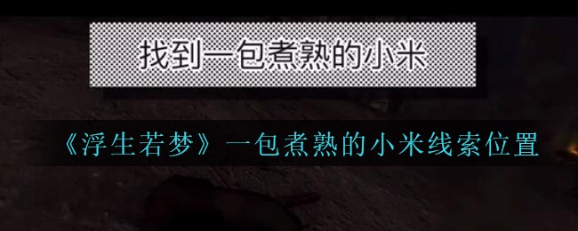 孙美琪疑案浮生若梦一包煮熟的小米线索位置在哪：解决难题高效方法